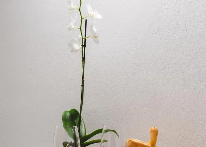 La Tartufaia 아파트호텔